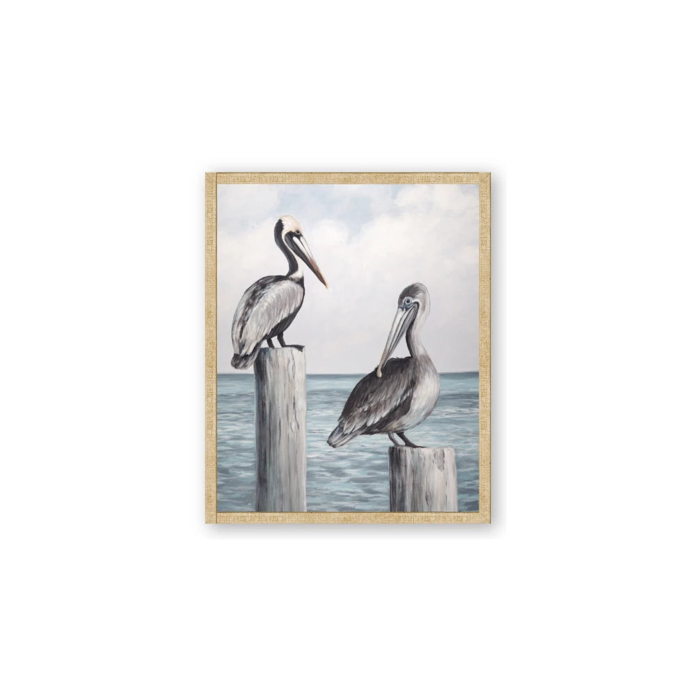 Observing Pelicans