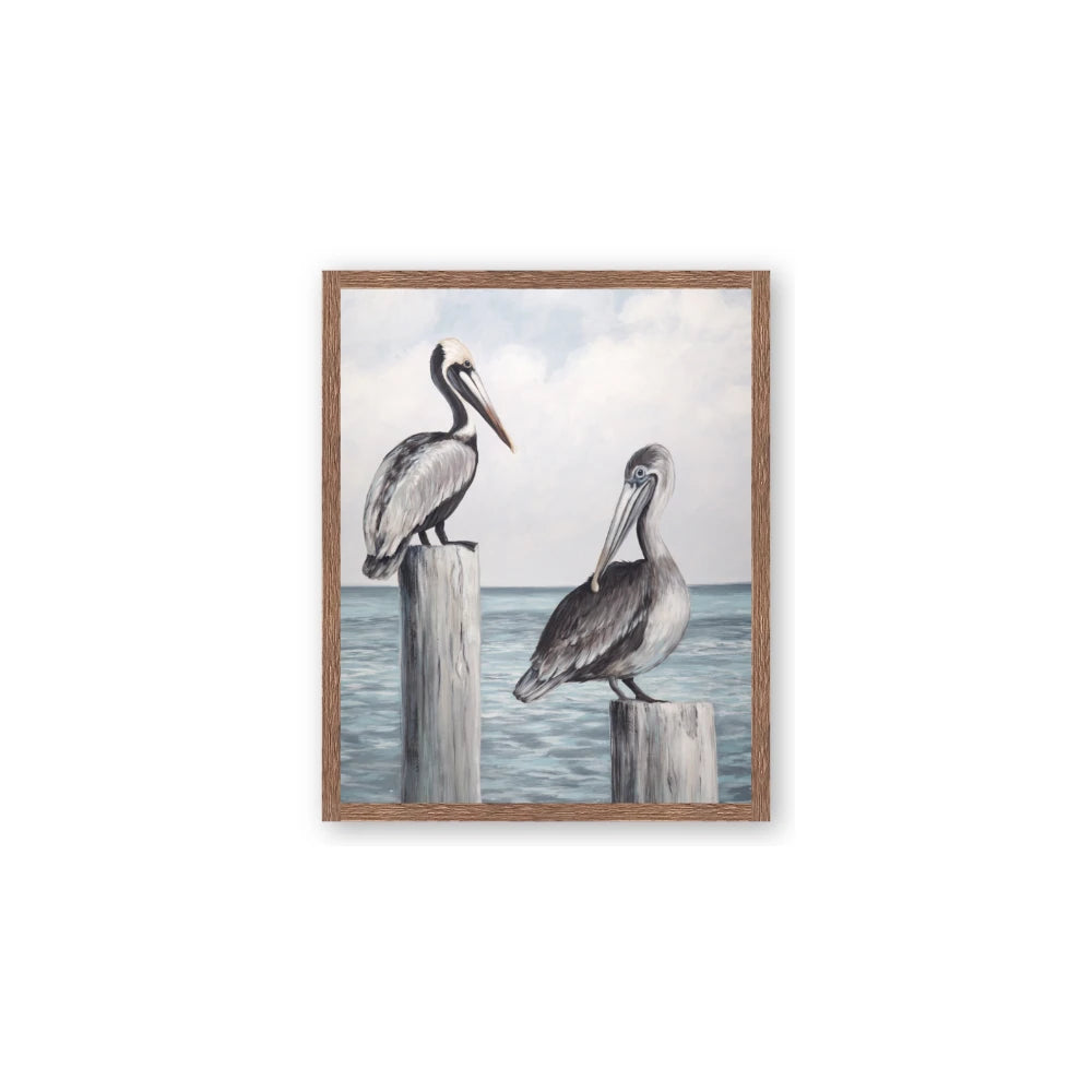 Observing Pelicans