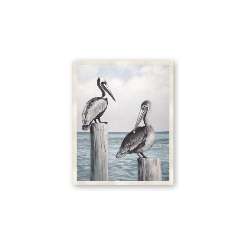 Observing Pelicans