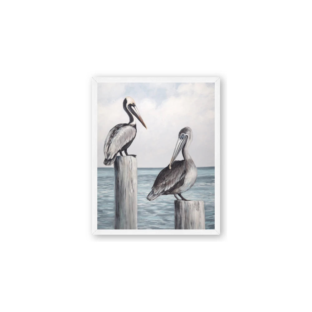 Observing Pelicans