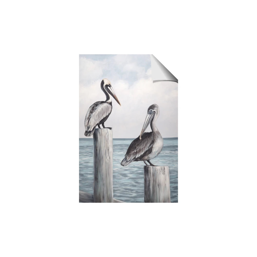 Observing Pelicans