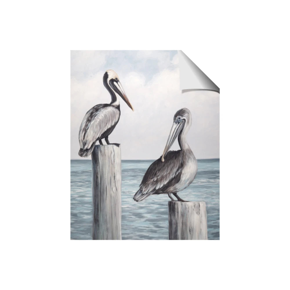 Observing Pelicans