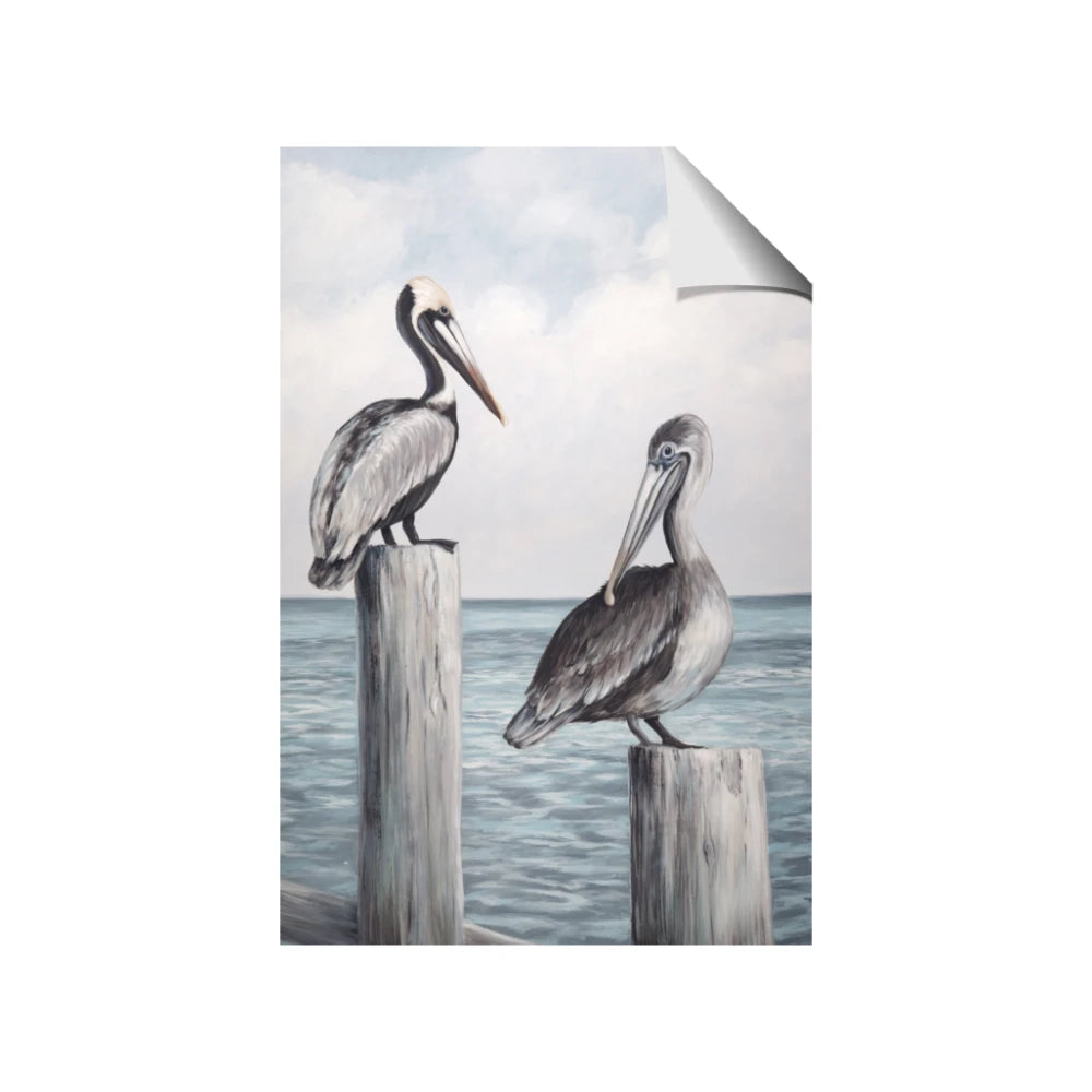 Observing Pelicans