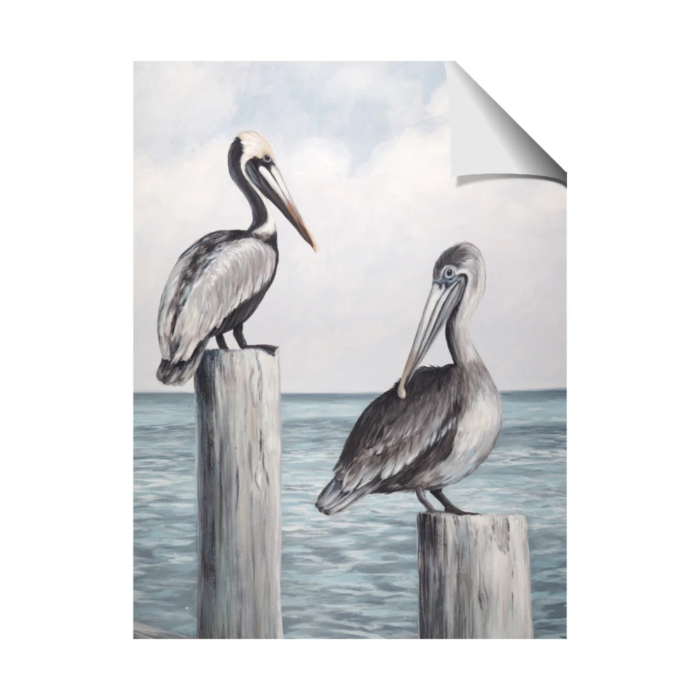 Observing Pelicans