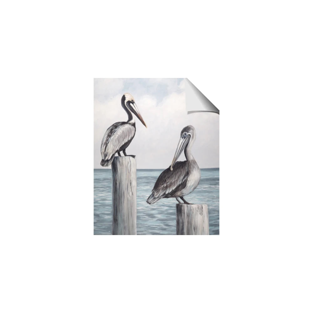 Observing Pelicans