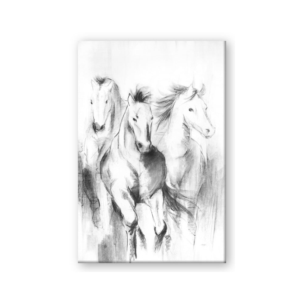 Wild Trio