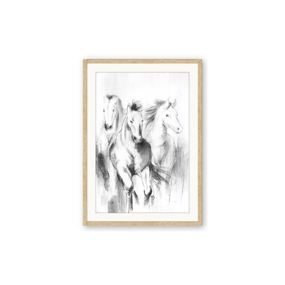 Wild Trio