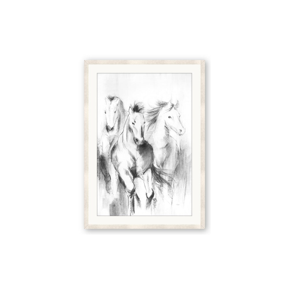 Wild Trio