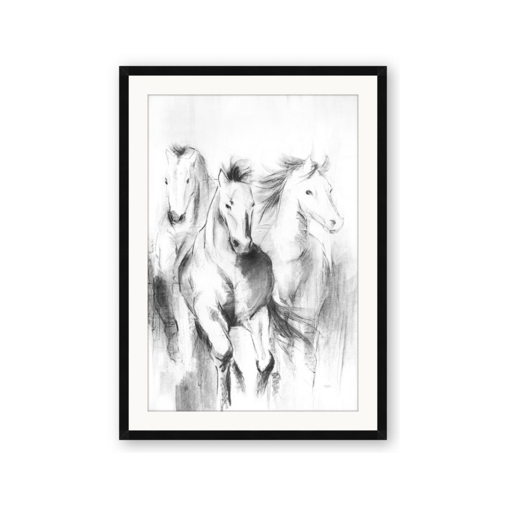 Wild Trio