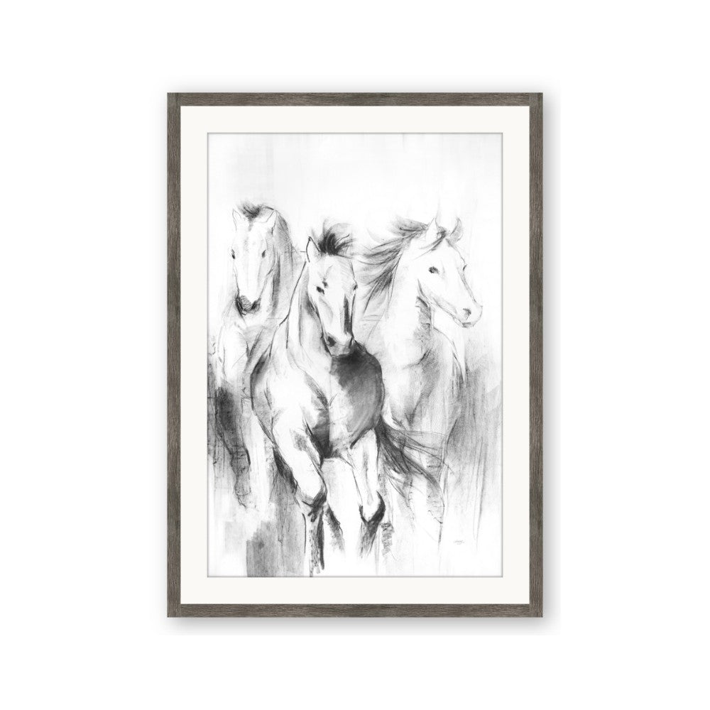 Wild Trio