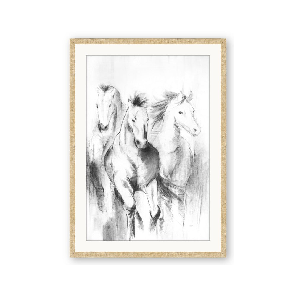 Wild Trio