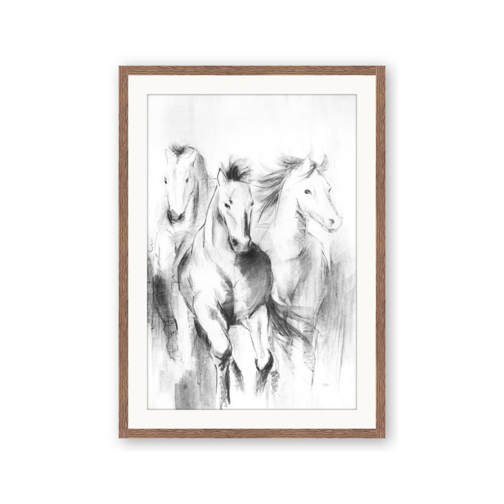 Wild Trio