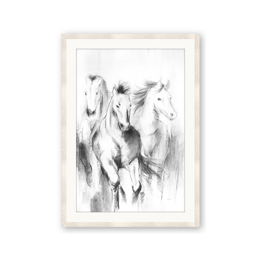 Wild Trio