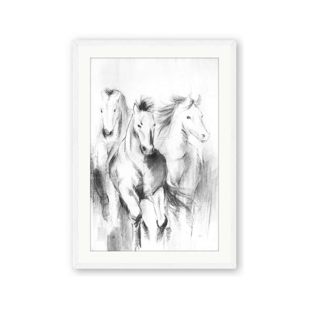 Wild Trio