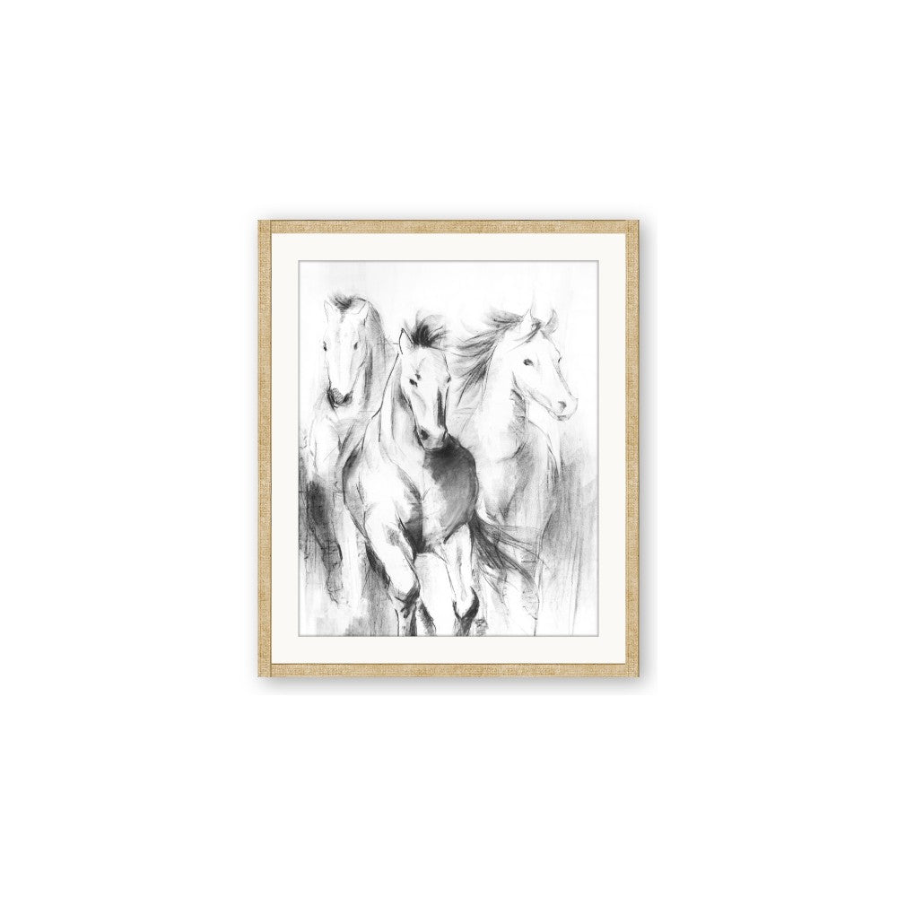 Wild Trio