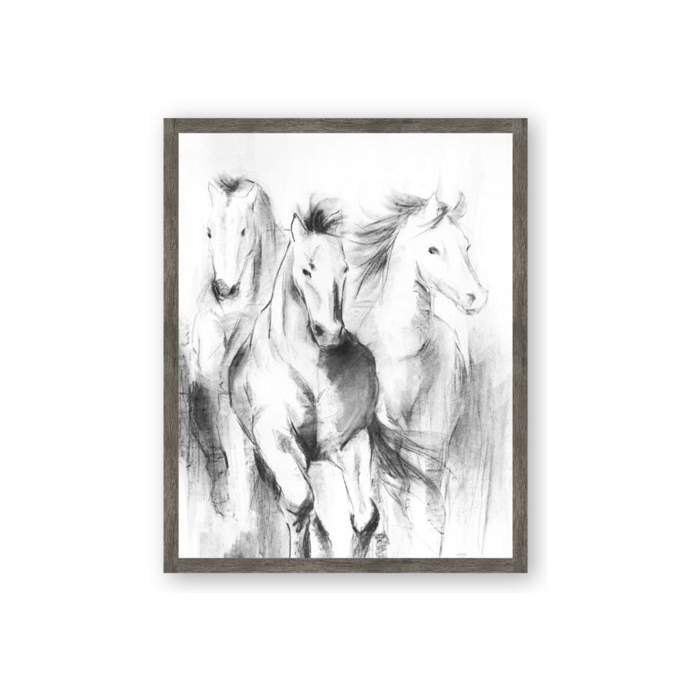 Wild Trio