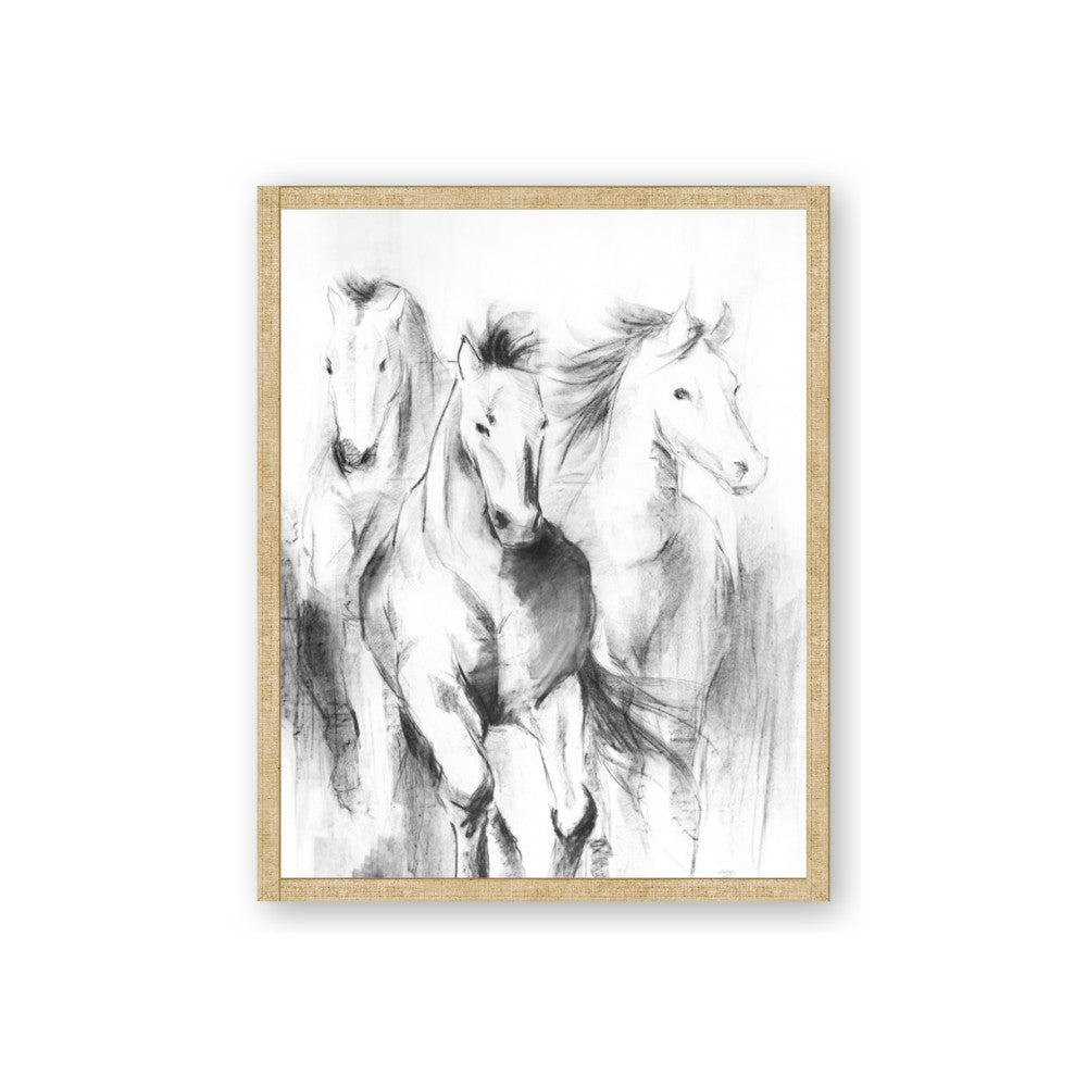 Wild Trio