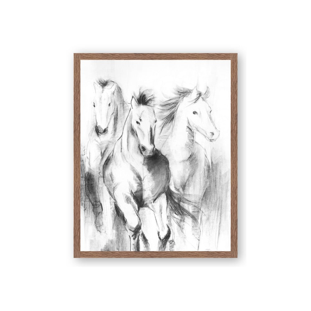 Wild Trio