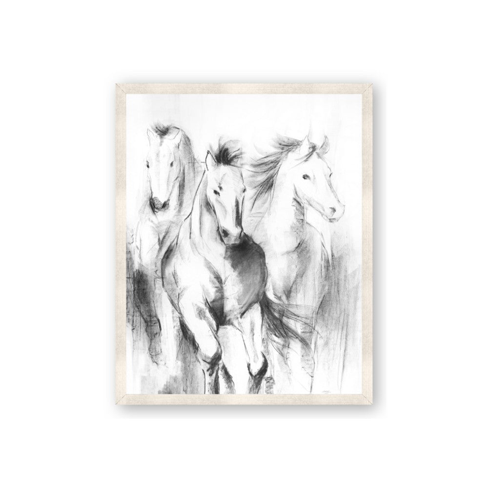 Wild Trio