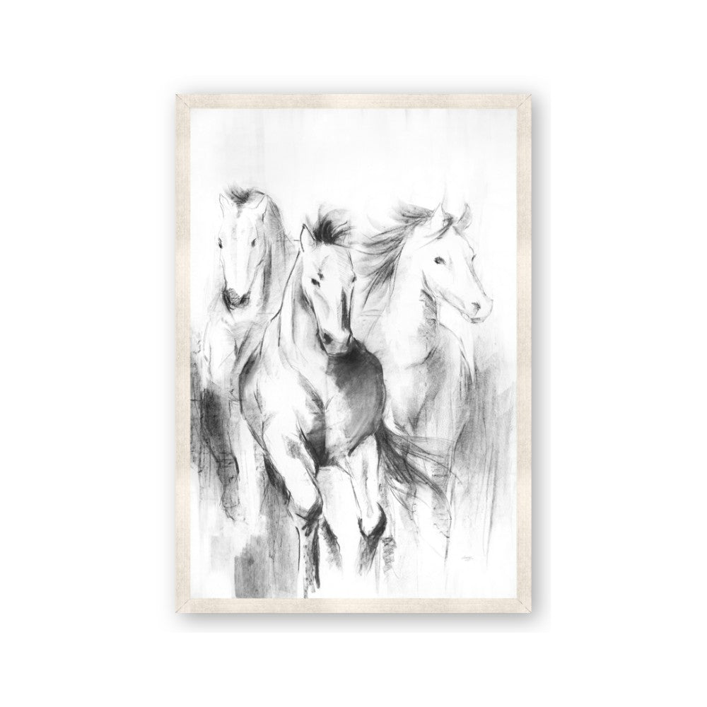 Wild Trio