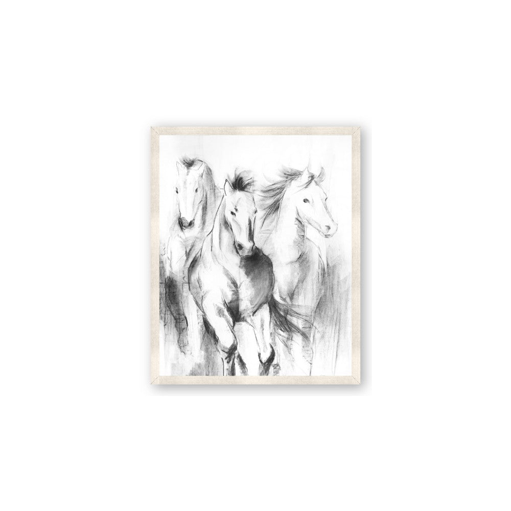 Wild Trio