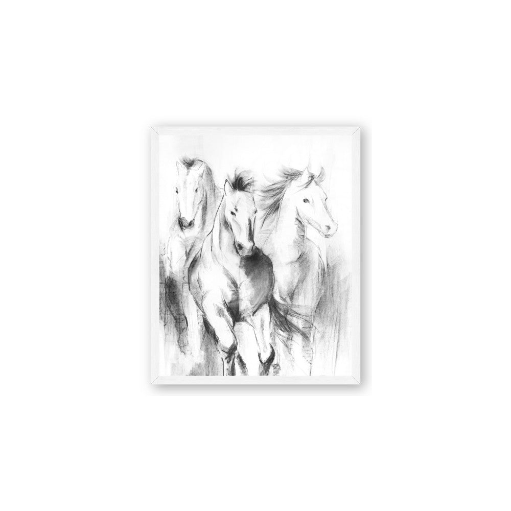 Wild Trio