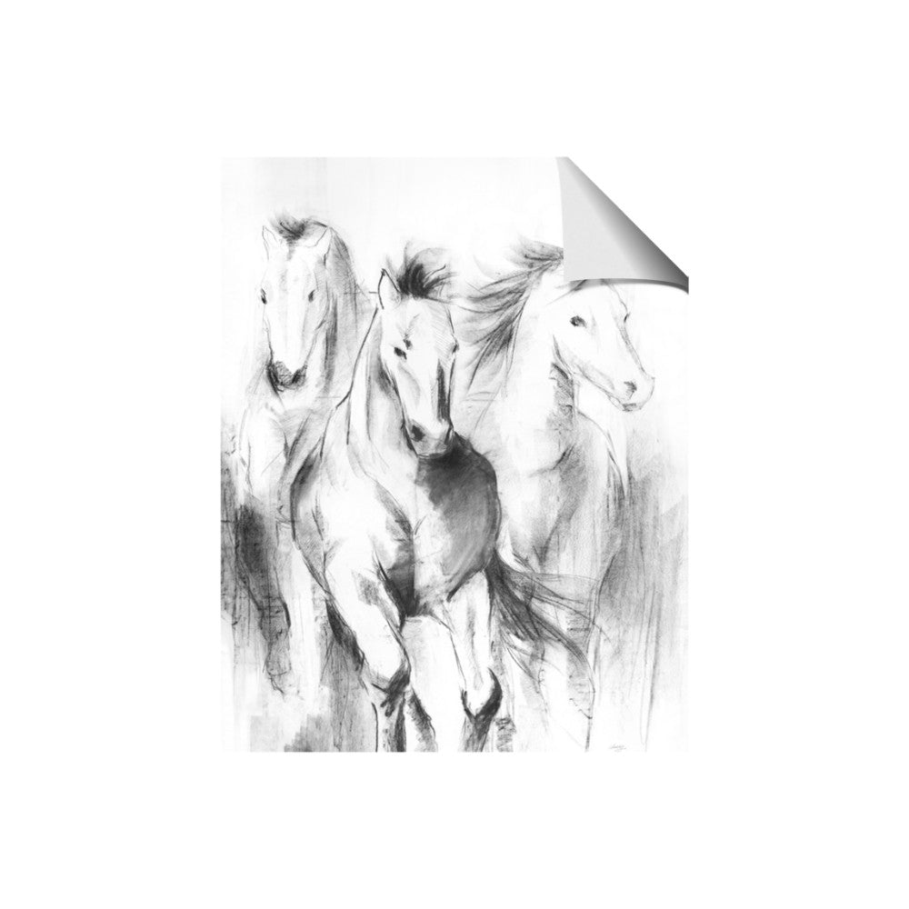 Wild Trio