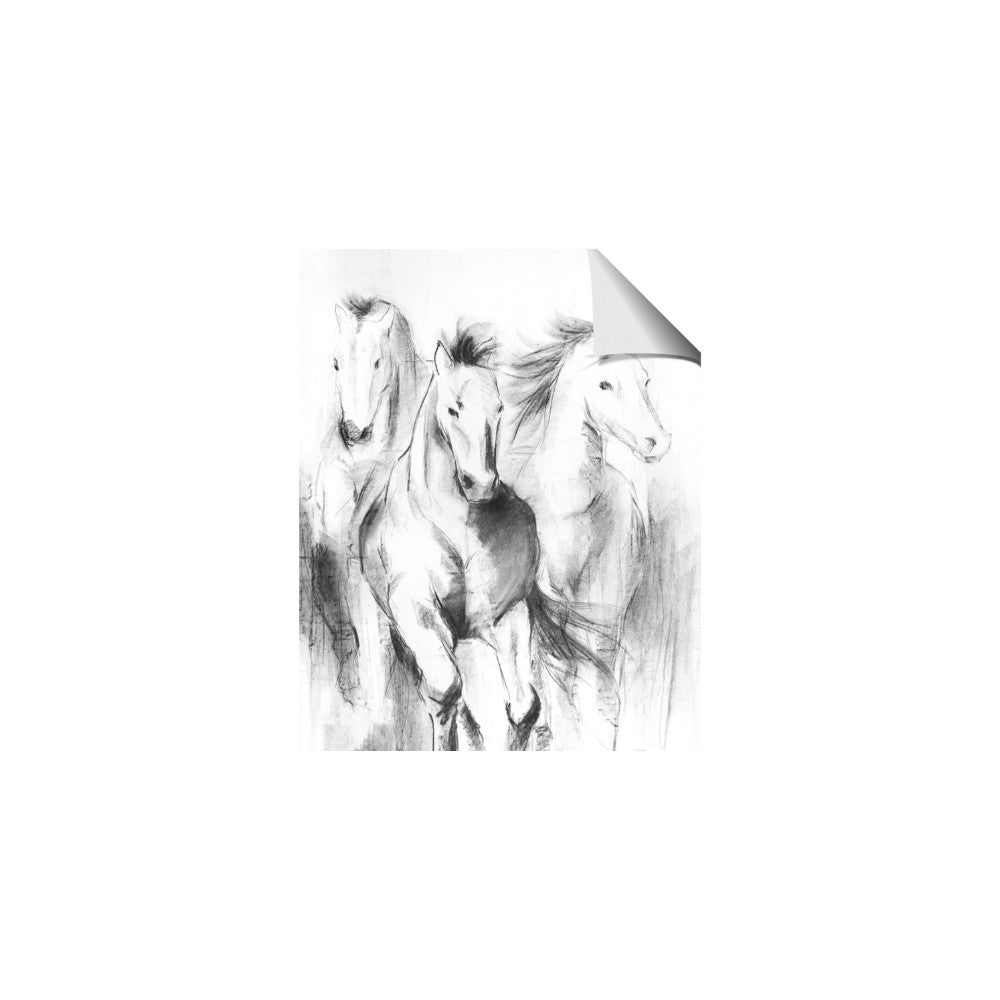 Wild Trio