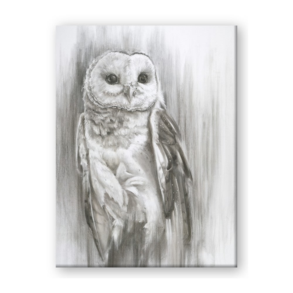 Living Owl