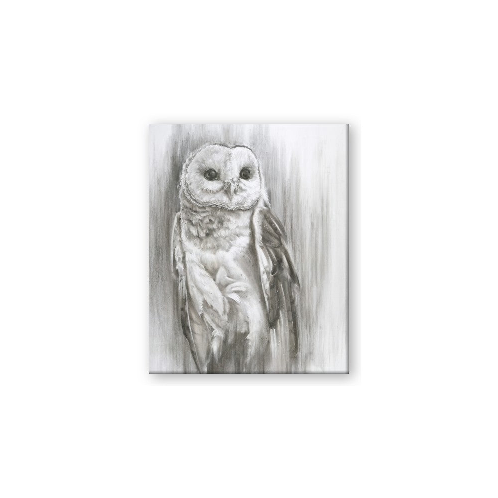 Living Owl