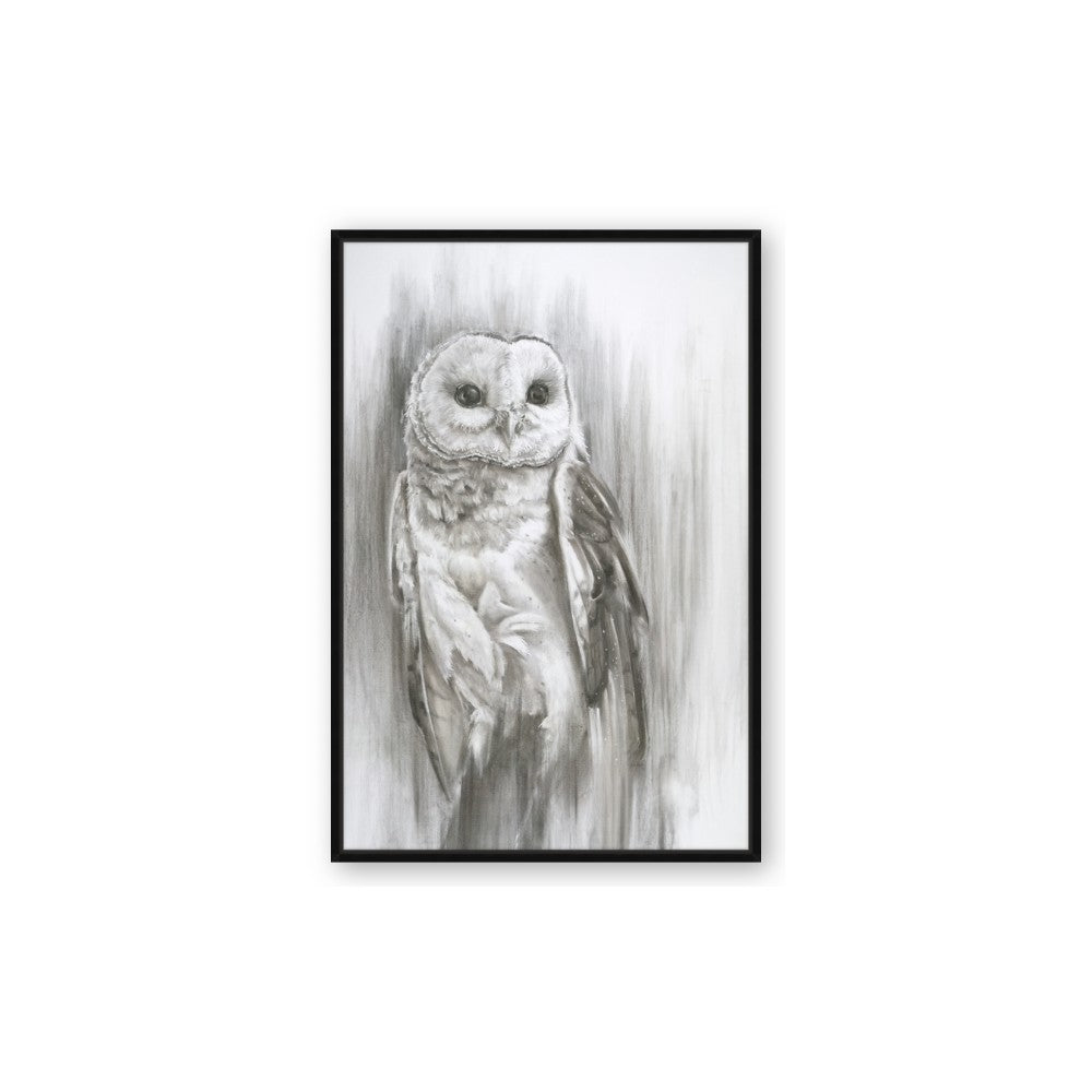 Living Owl