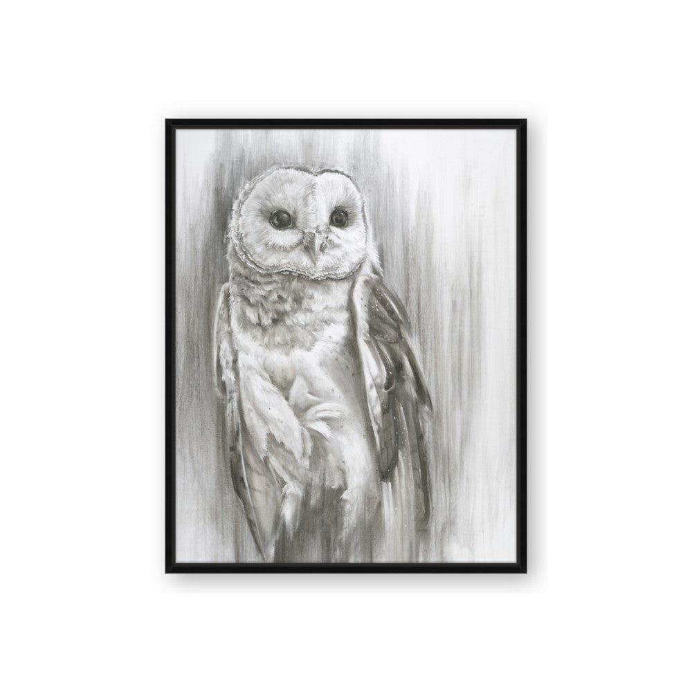 Living Owl