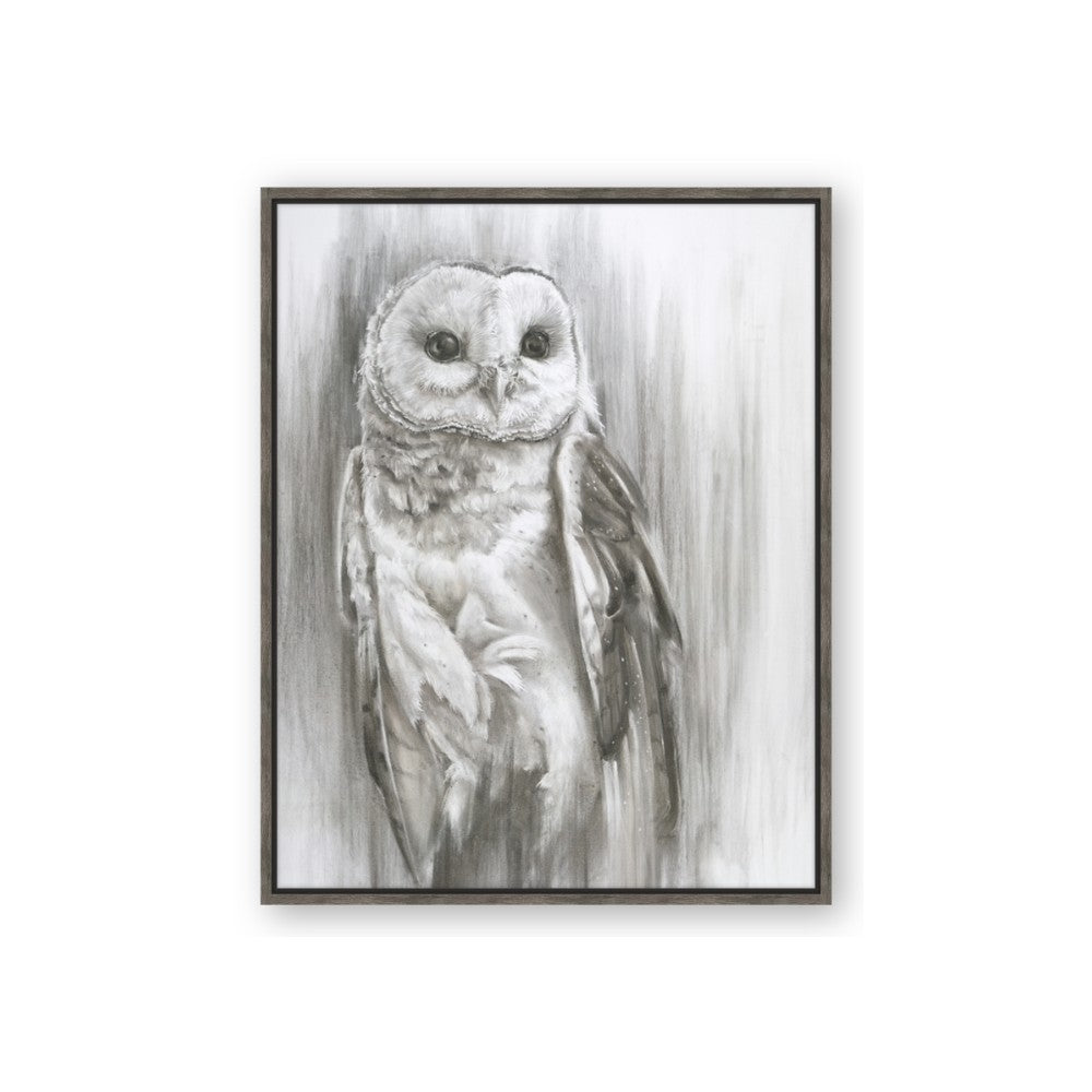 Living Owl