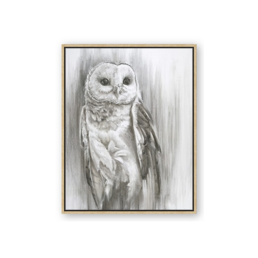 Living Owl