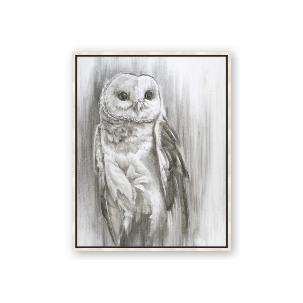 Living Owl