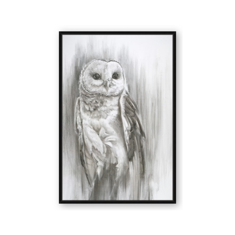 Living Owl