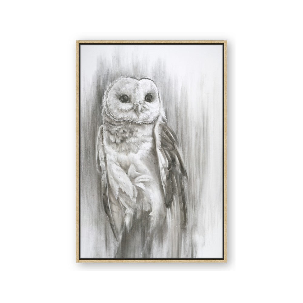 Living Owl