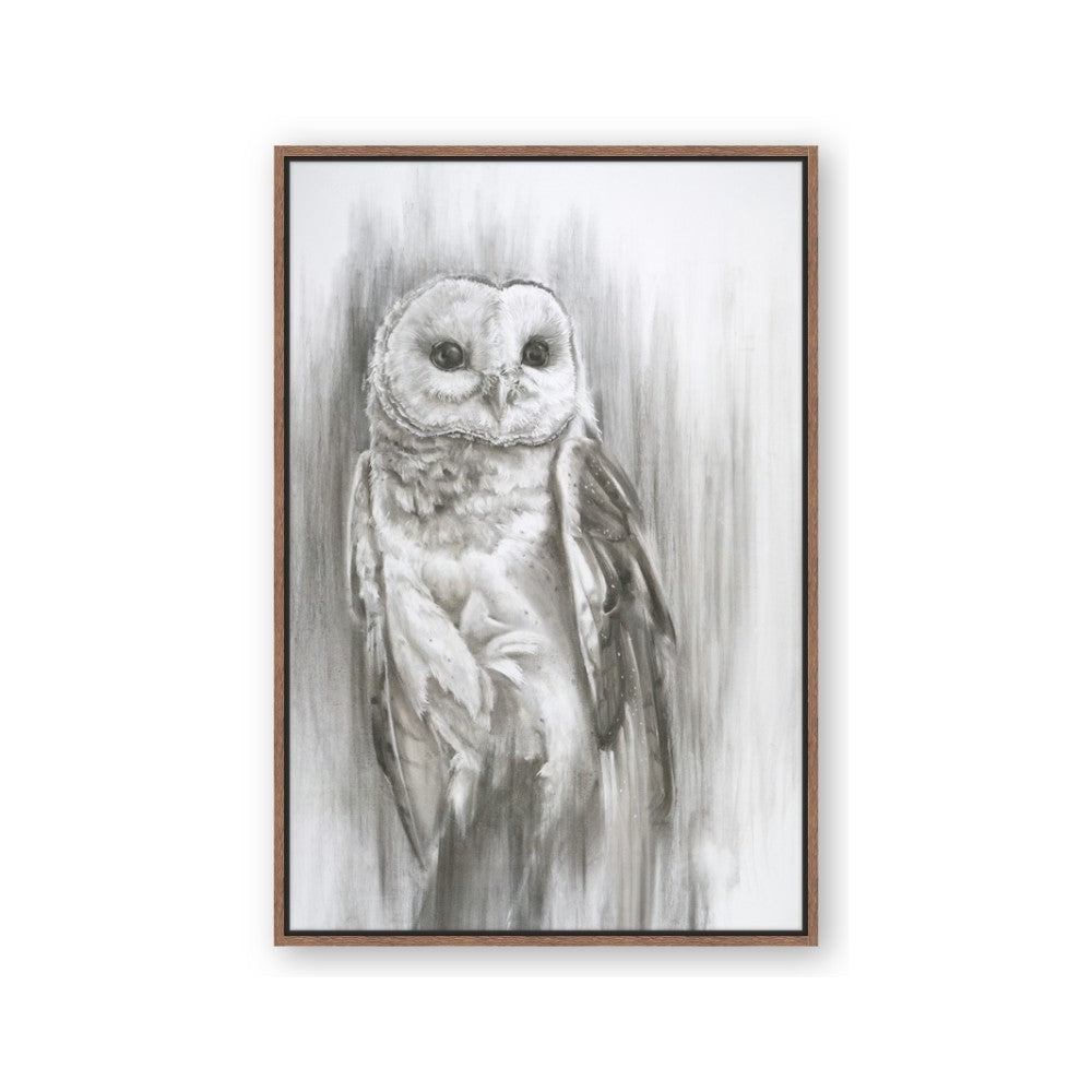 Living Owl
