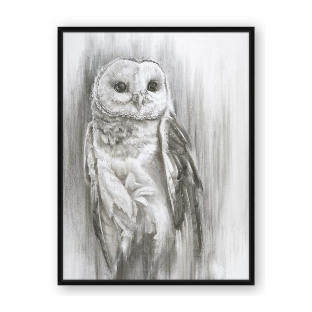 Living Owl