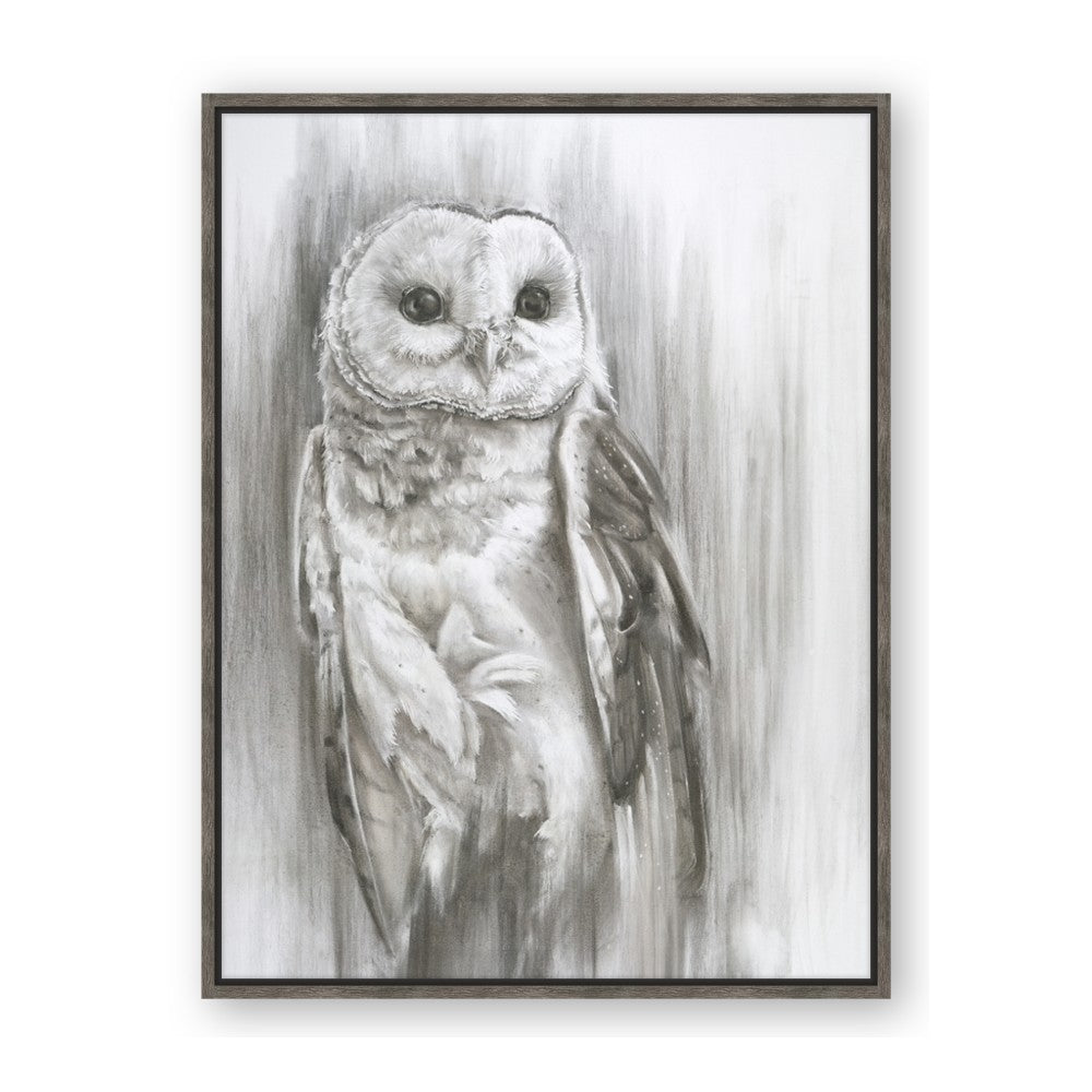 Living Owl