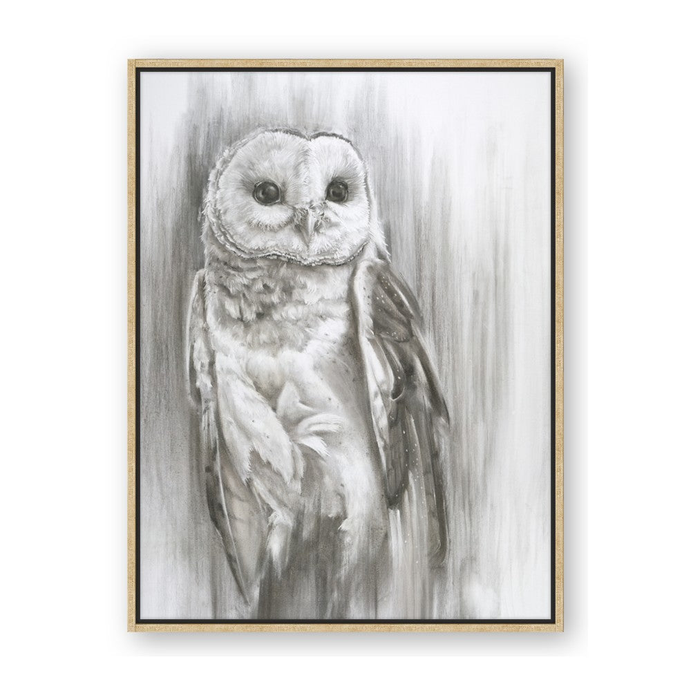 Living Owl