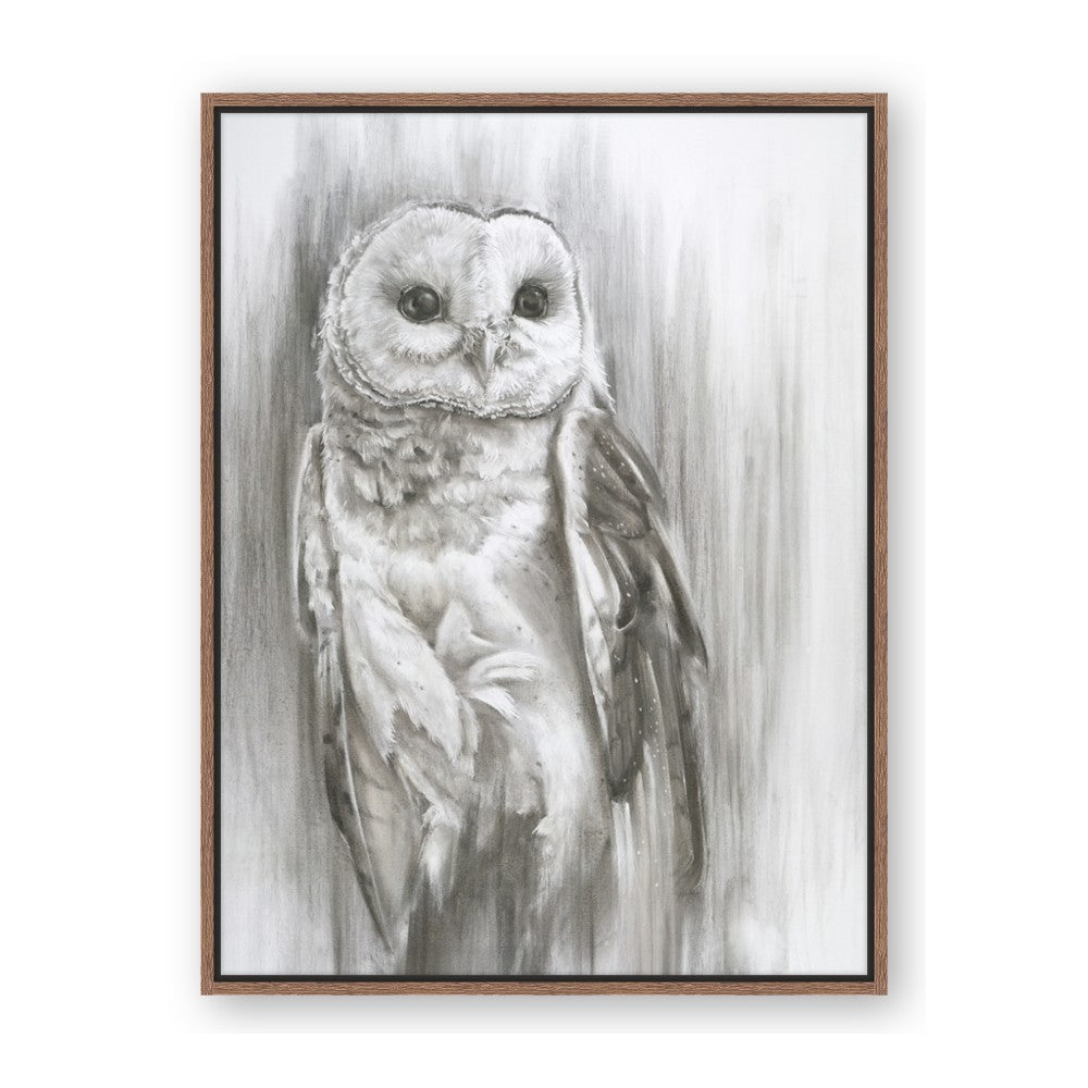 Living Owl