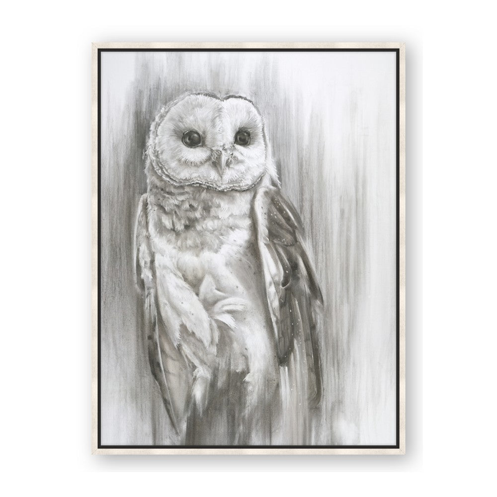 Living Owl