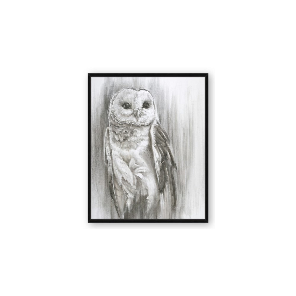 Living Owl