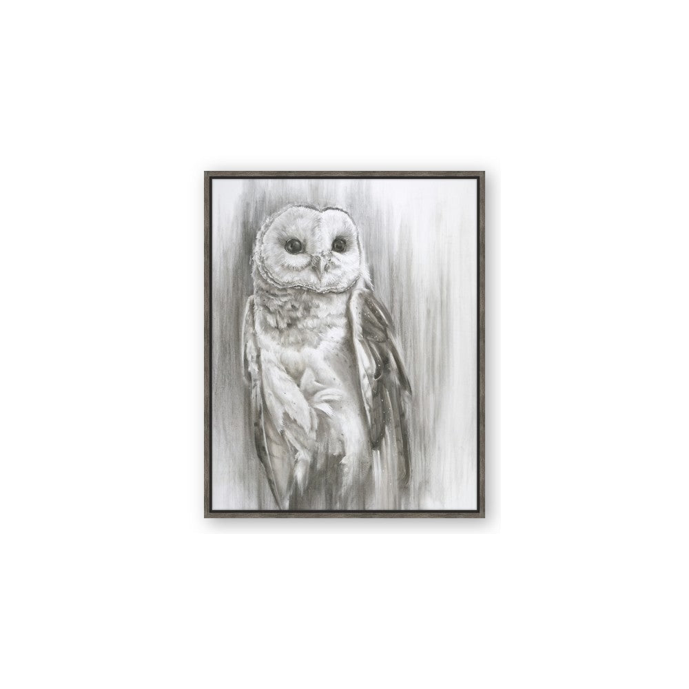 Living Owl