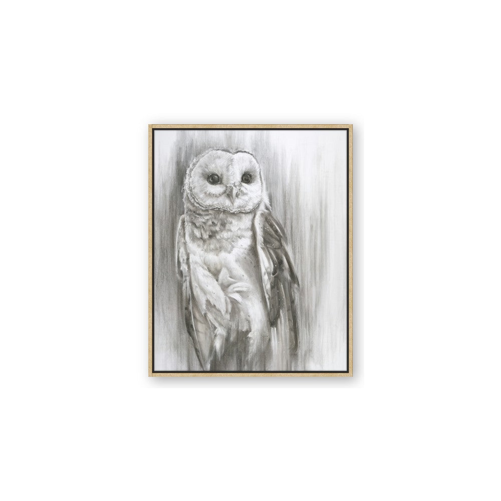 Living Owl