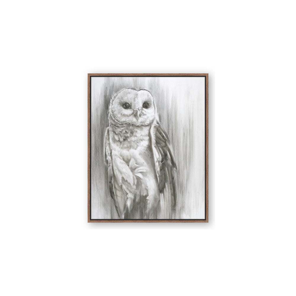 Living Owl