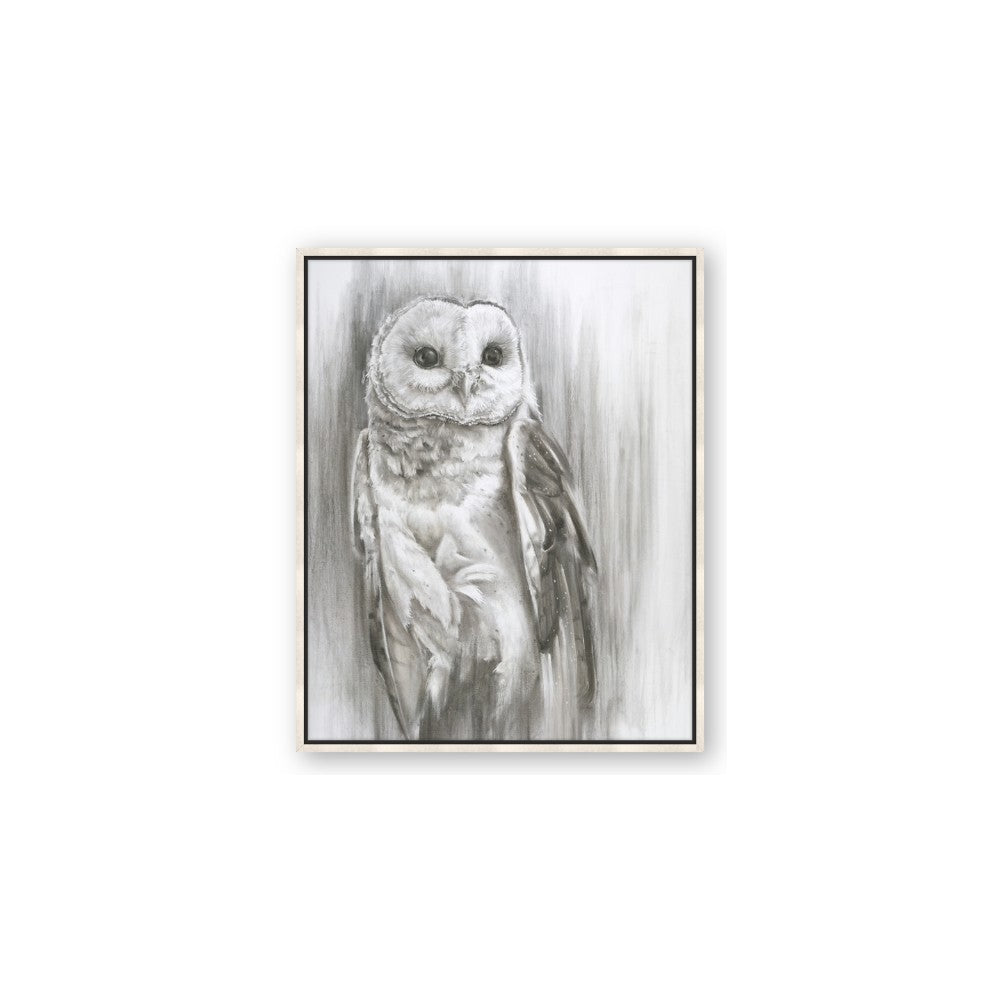 Living Owl