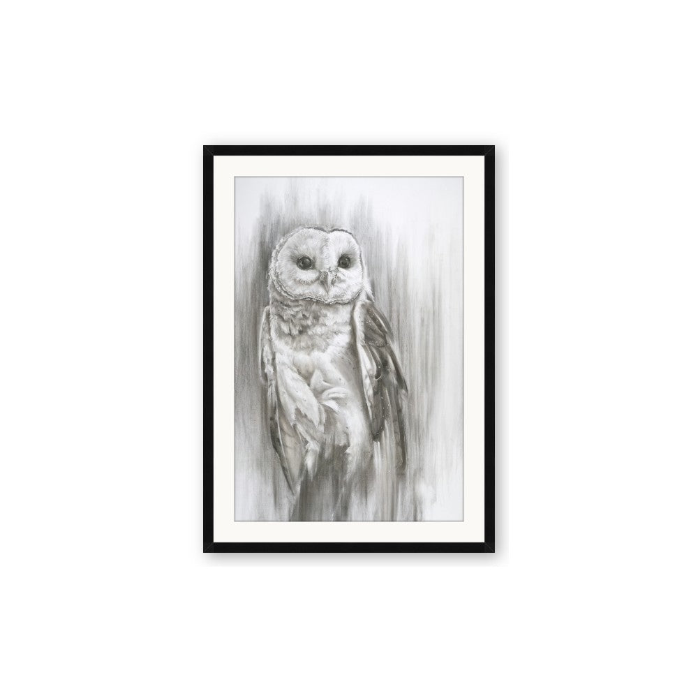 Living Owl