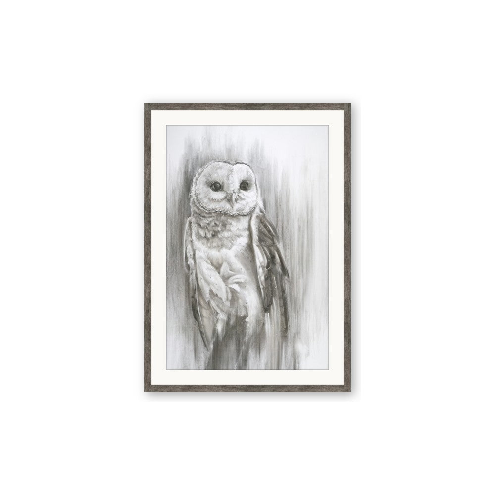 Living Owl